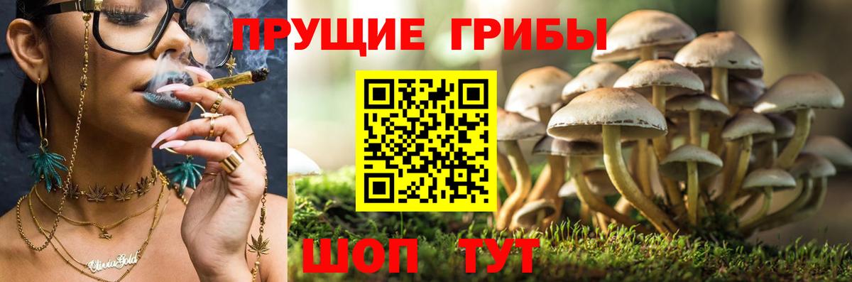 Псилоцибиновые грибы мицелий  Вход с VPN  Ковров 